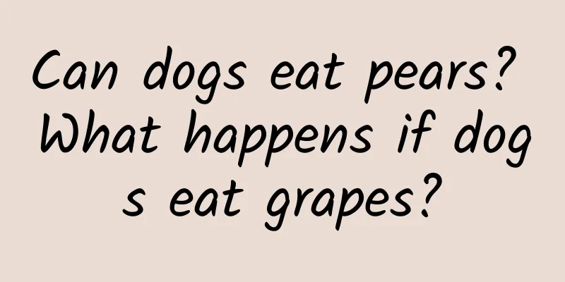 Can dogs eat pears? What happens if dogs eat grapes?