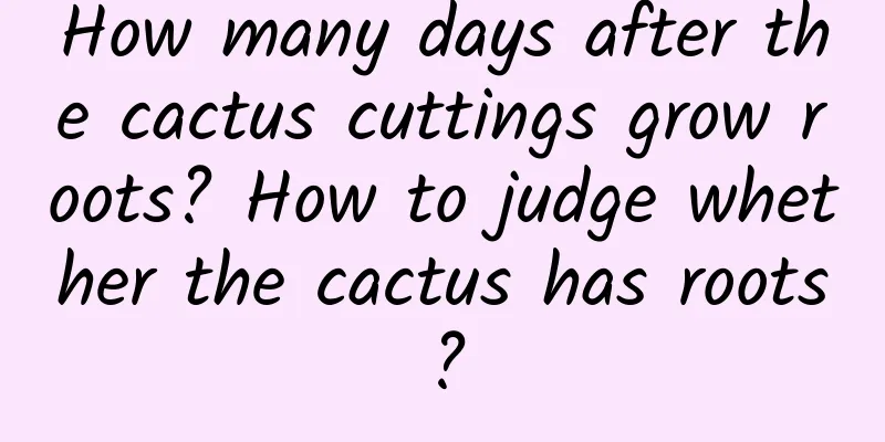 How many days after the cactus cuttings grow roots? How to judge whether the cactus has roots?