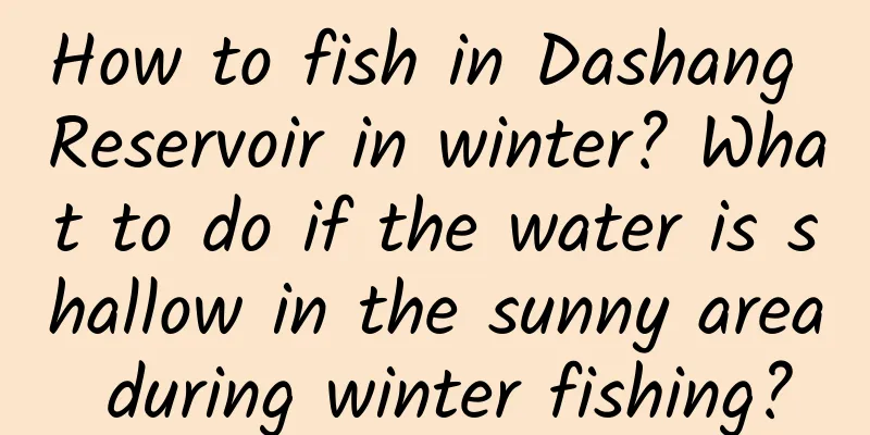 How to fish in Dashang Reservoir in winter? What to do if the water is shallow in the sunny area during winter fishing?