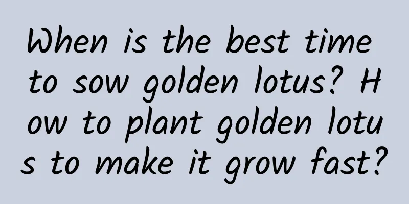 When is the best time to sow golden lotus? How to plant golden lotus to make it grow fast?
