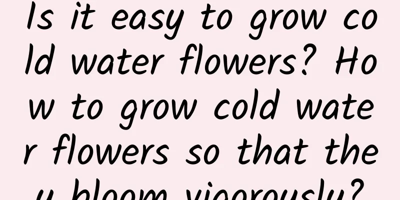 Is it easy to grow cold water flowers? How to grow cold water flowers so that they bloom vigorously?