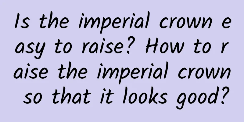 Is the imperial crown easy to raise? How to raise the imperial crown so that it looks good?