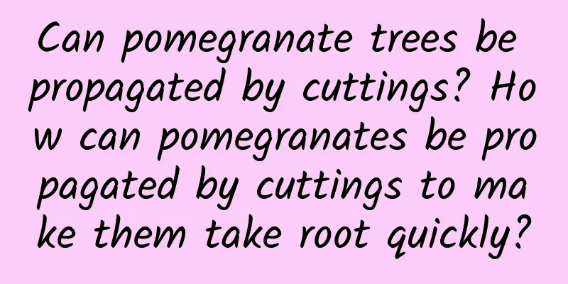 Can pomegranate trees be propagated by cuttings? How can pomegranates be propagated by cuttings to make them take root quickly?