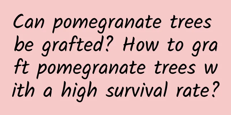 Can pomegranate trees be grafted? How to graft pomegranate trees with a high survival rate?