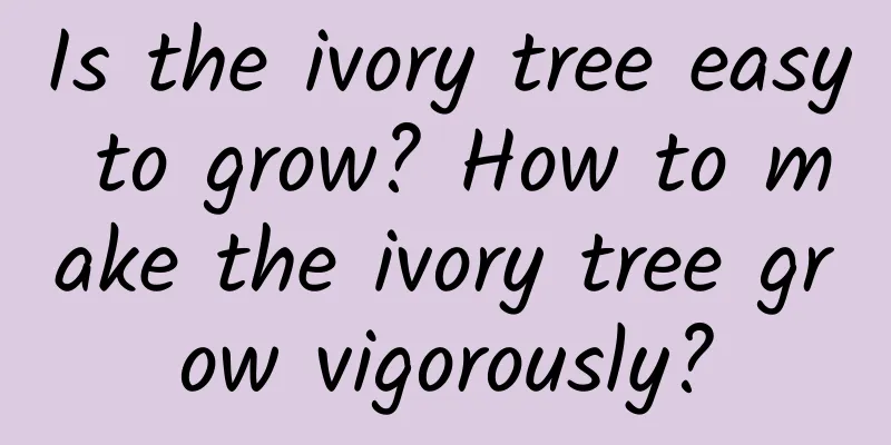 Is the ivory tree easy to grow? How to make the ivory tree grow vigorously?
