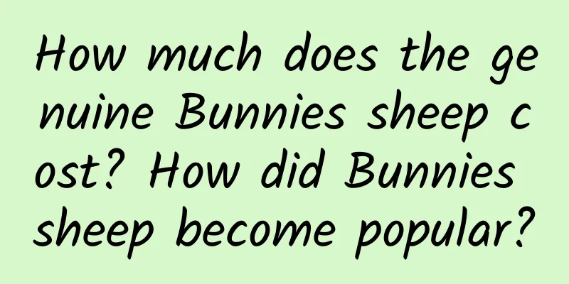 How much does the genuine Bunnies sheep cost? How did Bunnies sheep become popular?