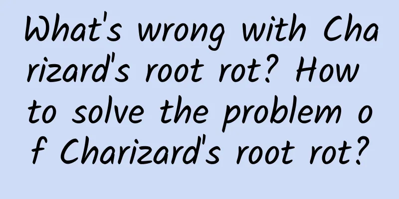 What's wrong with Charizard's root rot? How to solve the problem of Charizard's root rot?