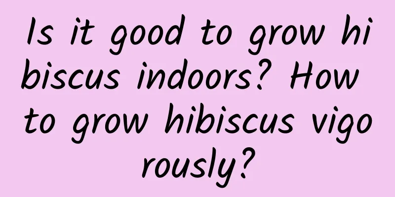 Is it good to grow hibiscus indoors? How to grow hibiscus vigorously?