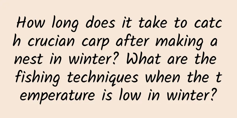 How long does it take to catch crucian carp after making a nest in winter? What are the fishing techniques when the temperature is low in winter?