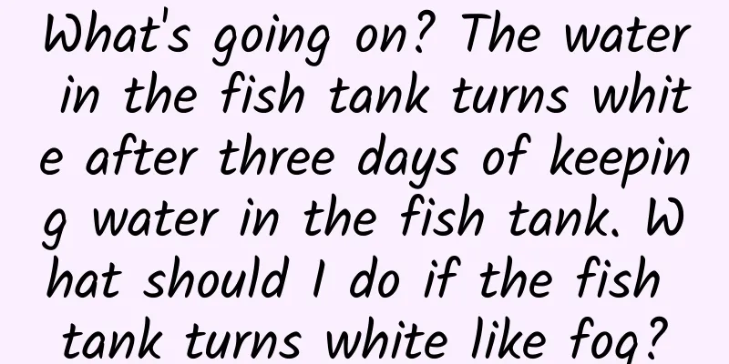 What's going on? The water in the fish tank turns white after three days of keeping water in the fish tank. What should I do if the fish tank turns white like fog?