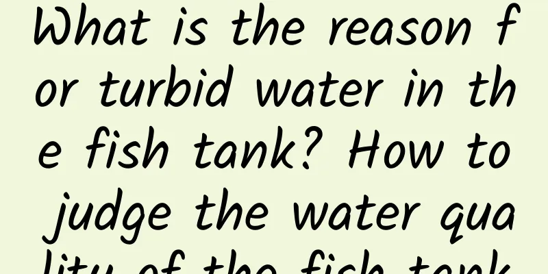 What is the reason for turbid water in the fish tank? How to judge the water quality of the fish tank