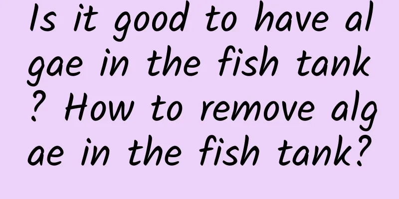 Is it good to have algae in the fish tank? How to remove algae in the fish tank?