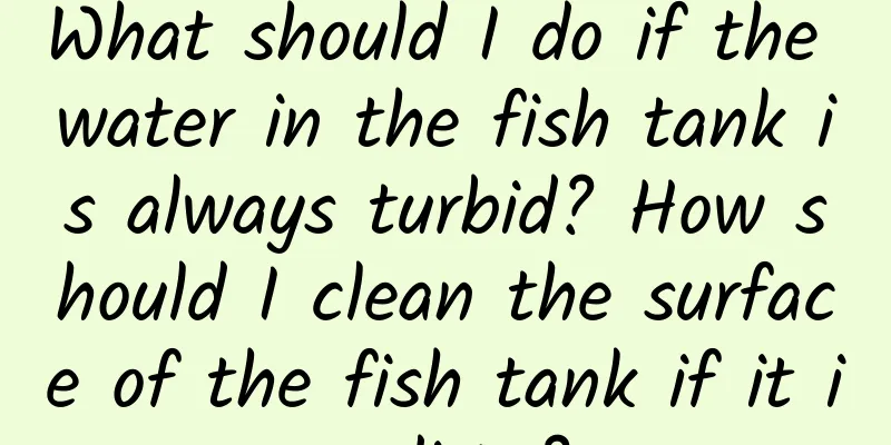 What should I do if the water in the fish tank is always turbid? How should I clean the surface of the fish tank if it is dirty?