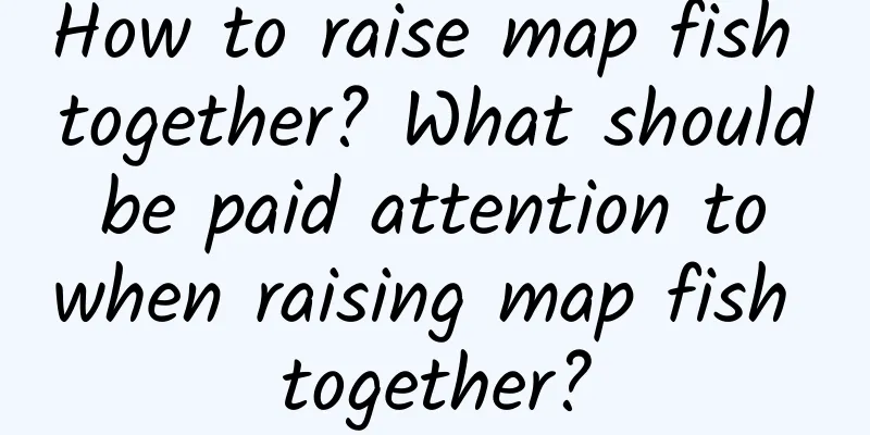 How to raise map fish together? What should be paid attention to when raising map fish together?
