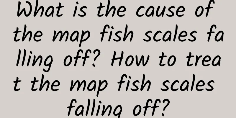 What is the cause of the map fish scales falling off? How to treat the map fish scales falling off?