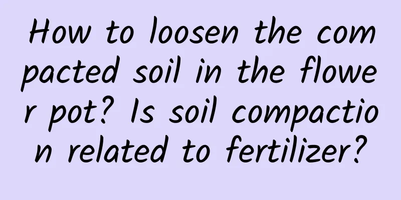 How to loosen the compacted soil in the flower pot? Is soil compaction related to fertilizer?