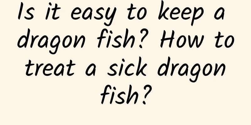 Is it easy to keep a dragon fish? How to treat a sick dragon fish?