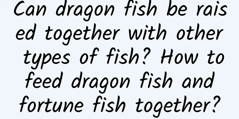 Can dragon fish be raised together with other types of fish? How to feed dragon fish and fortune fish together?
