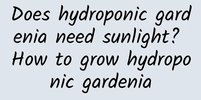 Does hydroponic gardenia need sunlight? How to grow hydroponic gardenia