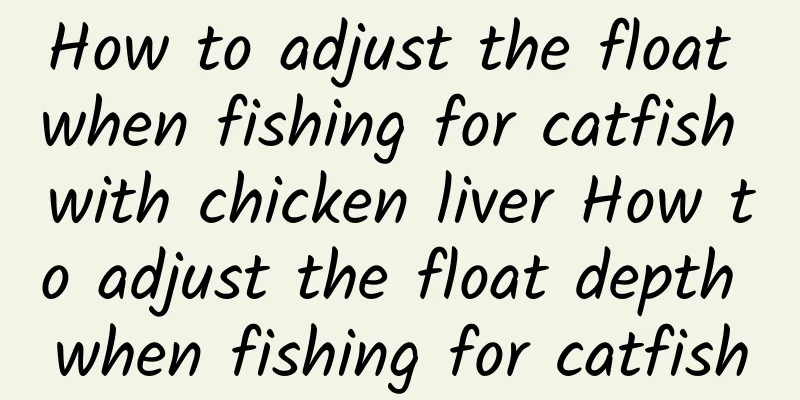 How to adjust the float when fishing for catfish with chicken liver How to adjust the float depth when fishing for catfish