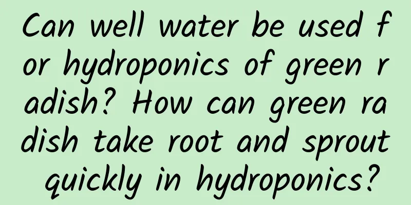 Can well water be used for hydroponics of green radish? How can green radish take root and sprout quickly in hydroponics?