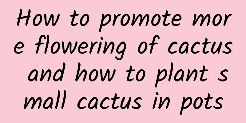 How to promote more flowering of cactus and how to plant small cactus in pots