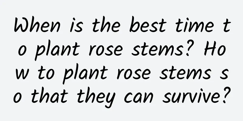 When is the best time to plant rose stems? How to plant rose stems so that they can survive?