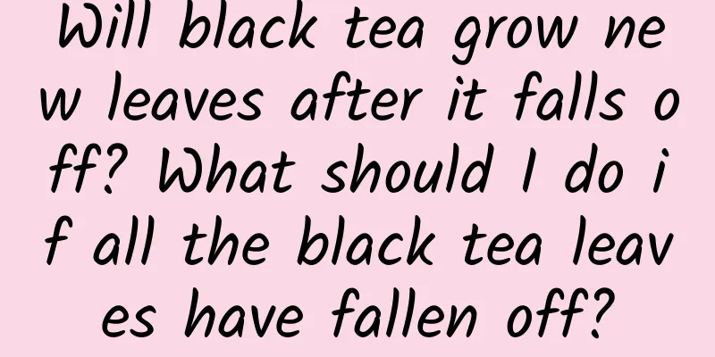 Will black tea grow new leaves after it falls off? What should I do if all the black tea leaves have fallen off?