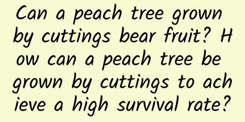 Can a peach tree grown by cuttings bear fruit? How can a peach tree be grown by cuttings to achieve a high survival rate?