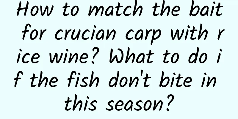 How to match the bait for crucian carp with rice wine? What to do if the fish don't bite in this season?