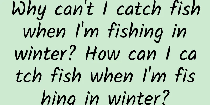 Why can't I catch fish when I'm fishing in winter? How can I catch fish when I'm fishing in winter?