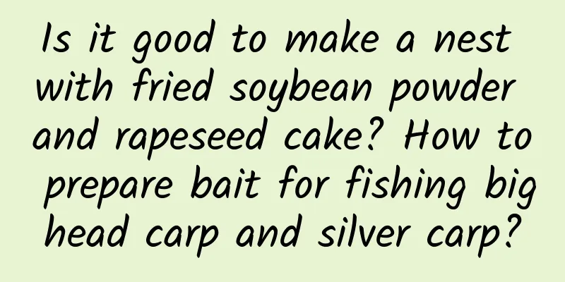 Is it good to make a nest with fried soybean powder and rapeseed cake? How to prepare bait for fishing bighead carp and silver carp?
