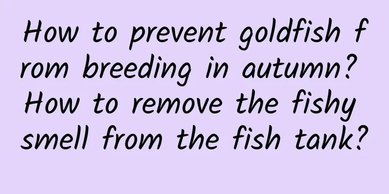 How to prevent goldfish from breeding in autumn? How to remove the fishy smell from the fish tank?