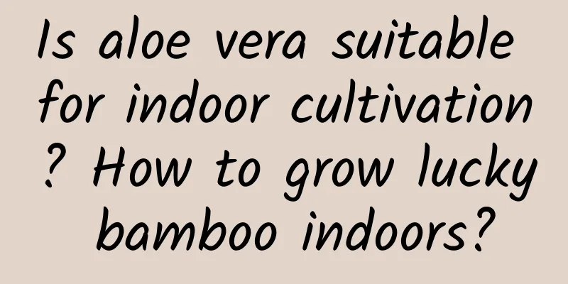 Is aloe vera suitable for indoor cultivation? How to grow lucky bamboo indoors?