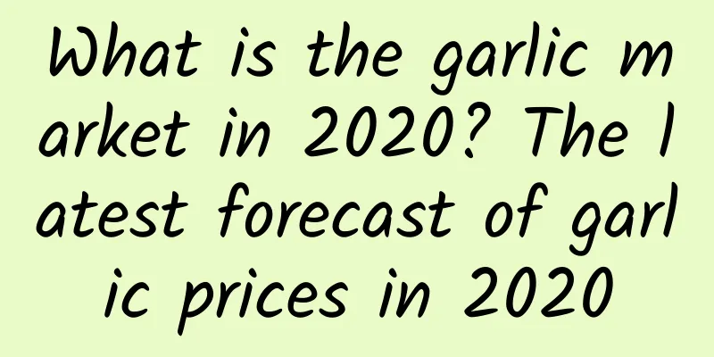 What is the garlic market in 2020? The latest forecast of garlic prices in 2020