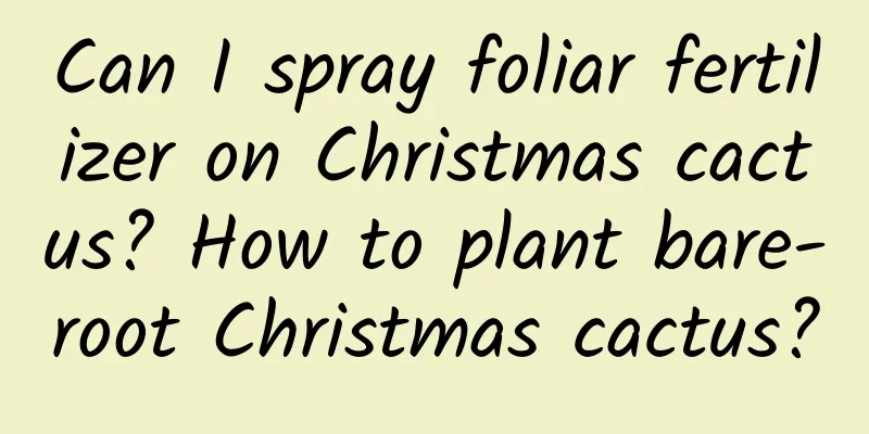 Can I spray foliar fertilizer on Christmas cactus? How to plant bare-root Christmas cactus?