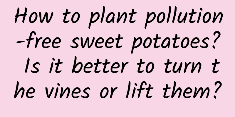 How to plant pollution-free sweet potatoes? Is it better to turn the vines or lift them?