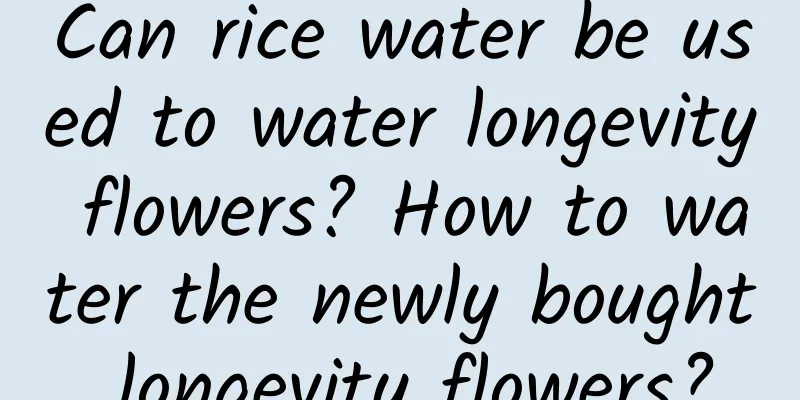 Can rice water be used to water longevity flowers? How to water the newly bought longevity flowers?
