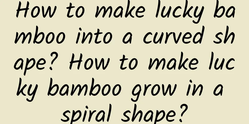 How to make lucky bamboo into a curved shape? How to make lucky bamboo grow in a spiral shape?