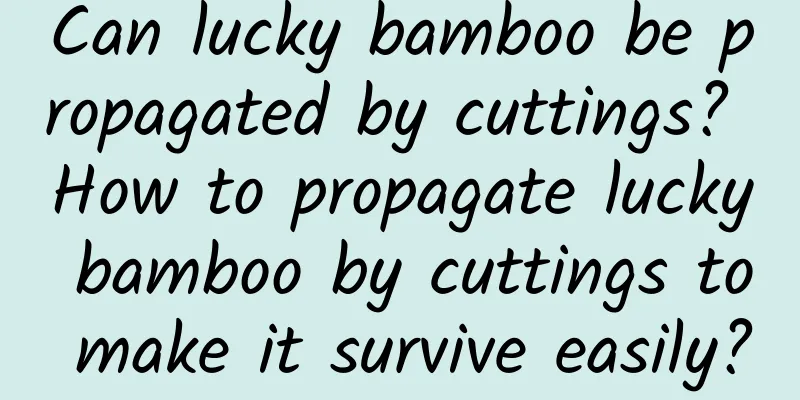 Can lucky bamboo be propagated by cuttings? How to propagate lucky bamboo by cuttings to make it survive easily?