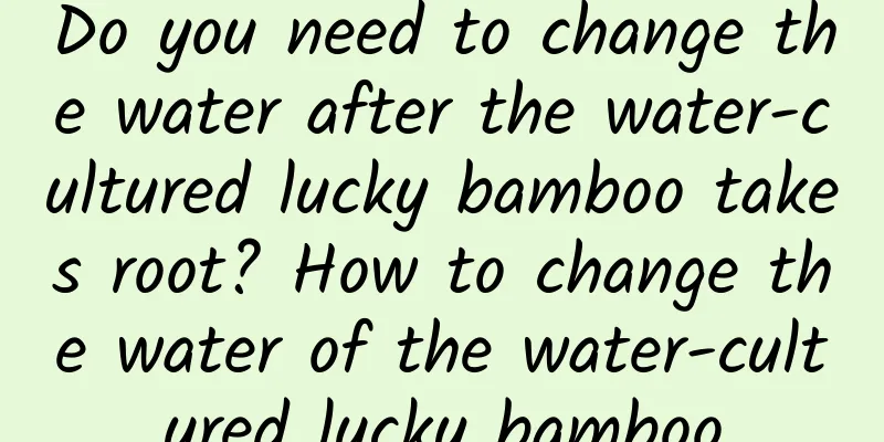 Do you need to change the water after the water-cultured lucky bamboo takes root? How to change the water of the water-cultured lucky bamboo