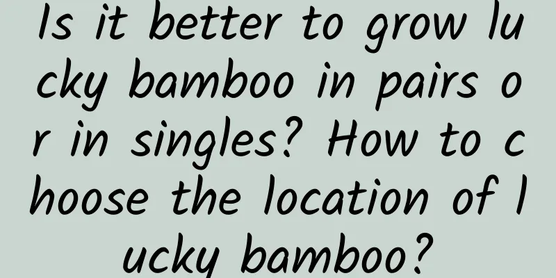 Is it better to grow lucky bamboo in pairs or in singles? How to choose the location of lucky bamboo?
