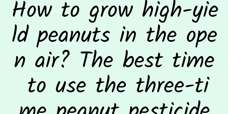 How to grow high-yield peanuts in the open air? The best time to use the three-time peanut pesticide