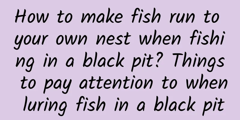 How to make fish run to your own nest when fishing in a black pit? Things to pay attention to when luring fish in a black pit