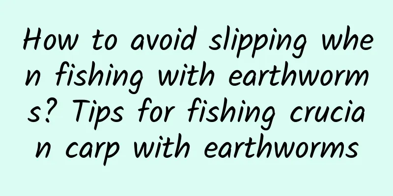 How to avoid slipping when fishing with earthworms? Tips for fishing crucian carp with earthworms