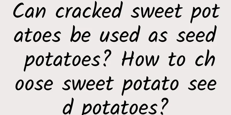 Can cracked sweet potatoes be used as seed potatoes? How to choose sweet potato seed potatoes?