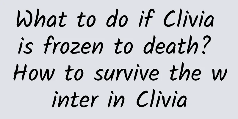 What to do if Clivia is frozen to death? How to survive the winter in Clivia