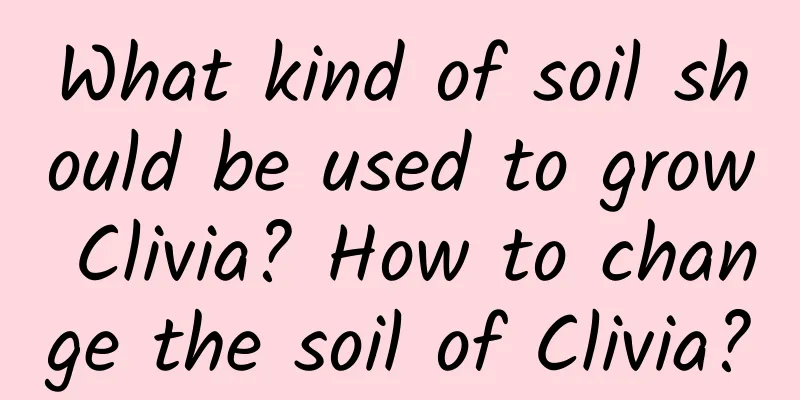 What kind of soil should be used to grow Clivia? How to change the soil of Clivia?