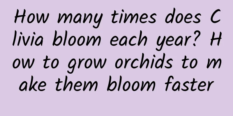 How many times does Clivia bloom each year? How to grow orchids to make them bloom faster
