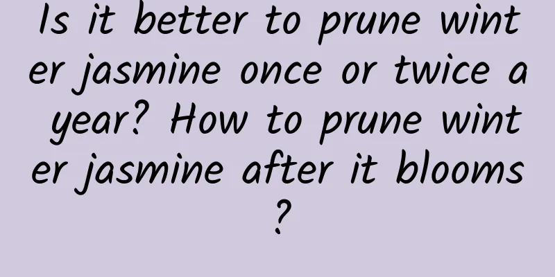 Is it better to prune winter jasmine once or twice a year? How to prune winter jasmine after it blooms?